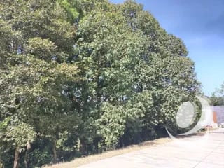 Vendo Terreno Condominio Sausalito, Fraijanes. — Terreno en Venta en Sausalito, Carretera a El Salvador, Guatemala, Ciudad — miniatura 6 de 16