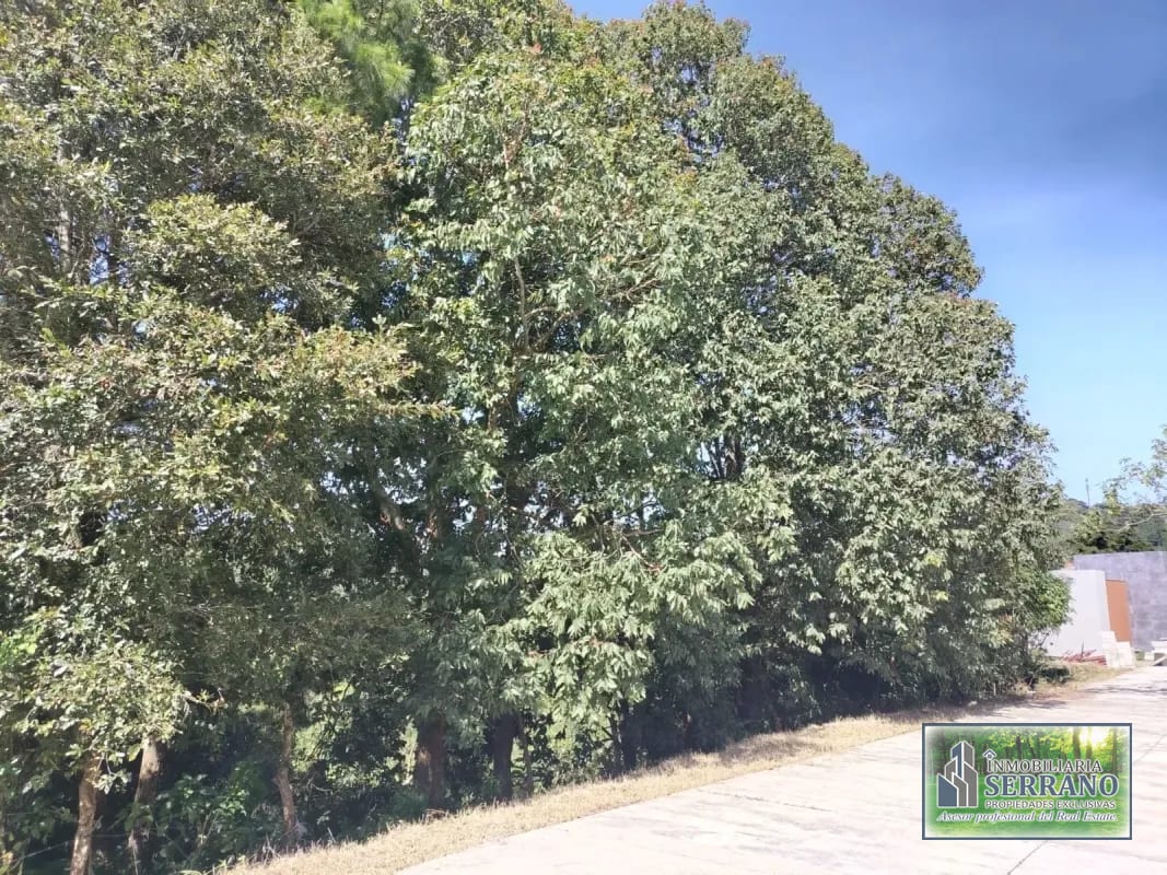 Vendo Terreno Condominio Sausalito, Fraijanes. — Terreno en Venta en Sausalito, Carretera a El Salvador, Guatemala, Ciudad — foto 7 de 17
