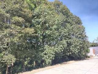 Vendo Terreno Condominio Sausalito, Fraijanes. — Terreno en Venta en Sausalito, Carretera a El Salvador, Guatemala, Ciudad — miniatura 7 de 17