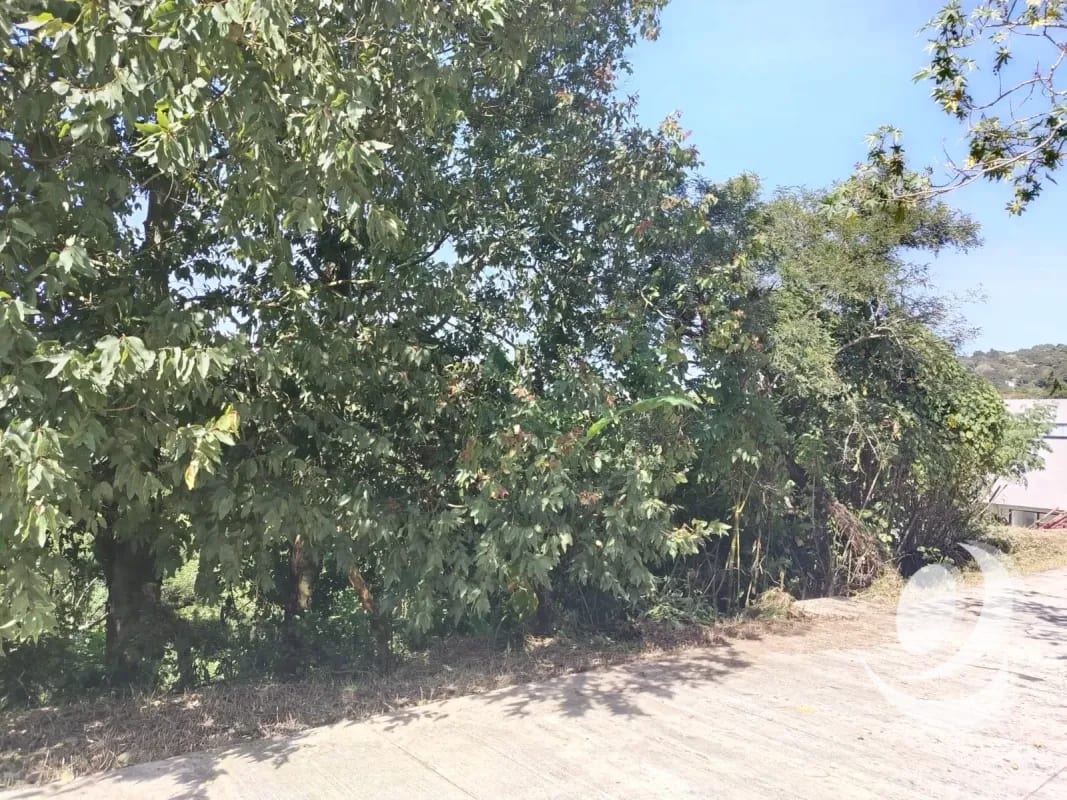 Vendo Terreno Condominio Sausalito, Fraijanes. — Terreno en Venta en Sausalito, Carretera a El Salvador, Guatemala, Ciudad — foto 5 de 16