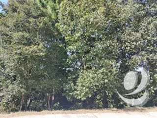 Vendo Terreno Condominio Sausalito, Fraijanes. — Terreno en Venta en Sausalito, Carretera a El Salvador, Guatemala, Ciudad — miniatura 3 de 16