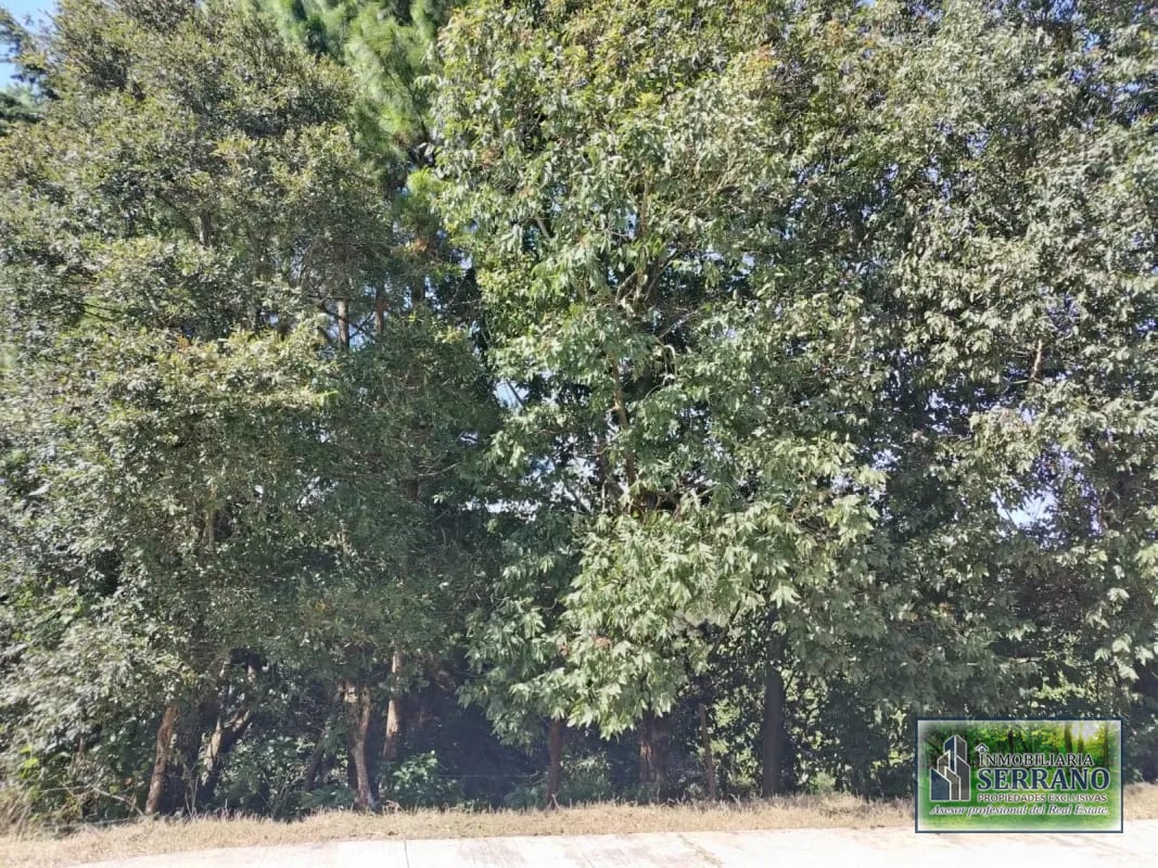 Vendo Terreno Condominio Sausalito, Fraijanes. — Terreno en Venta en Sausalito, Carretera a El Salvador, Guatemala, Ciudad — foto 4 de 17
