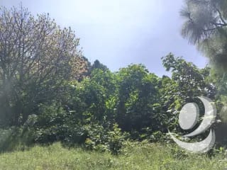 Vendo Terreno Condominio Sausalito, Fraijanes. — Terreno en Venta en Sausalito, Carretera a El Salvador, Guatemala, Ciudad — miniatura 2 de 16
