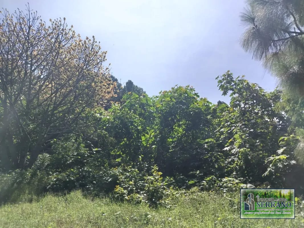 Vendo Terreno Condominio Sausalito, Fraijanes. — Terreno en Venta en Sausalito, Carretera a El Salvador, Guatemala, Ciudad — foto 3 de 17