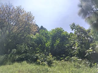 Vendo Terreno Condominio Sausalito, Fraijanes. — Terreno en Venta en Sausalito, Carretera a El Salvador, Guatemala, Ciudad — miniatura 3 de 17