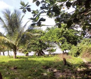 6 MANZANAS EN BAHÍA DE AMATIQUE — Terreno en Venta en Amatique Bay, Izabal — miniatura 7 de 7