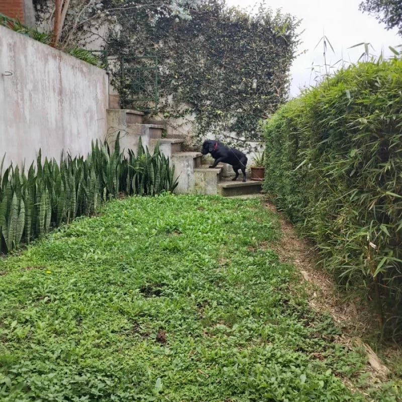 Vendo casa exclusiva En Monte Bello km. 9.5 Carretera al Salvador. — Casa en Venta en Santa Catarina Pinula, Carretera a El Salvador, Guatemala, Ciudad — foto 2 de 17