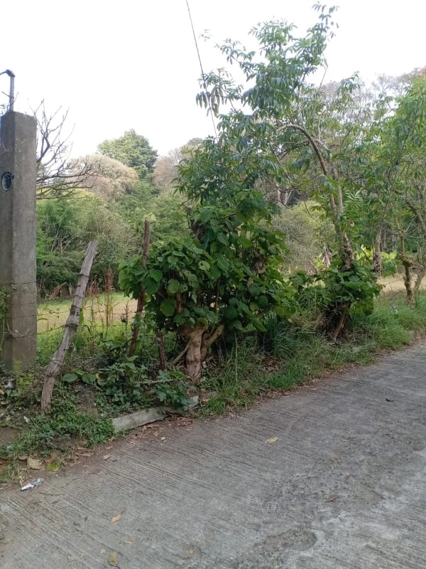 TERRENO  en Venta  (2)  - El Manzanillo, Mixco zona 1 — Terreno en Venta en Zona 1 Mixco, Guatemala, Ciudad — foto 8 de 9