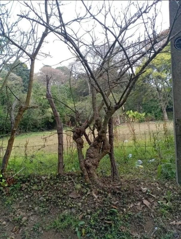 TERRENO  en Venta  (2)  - El Manzanillo, Mixco zona 1 — Terreno en Venta en Zona 1 Mixco, Guatemala, Ciudad — foto 5 de 9