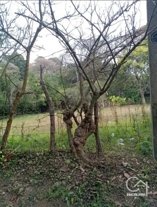 TERRENO en Venta (2) - El Manzanillo, Mixco zona 1 — Terreno en Venta en Zona 1 Mixco, Guatemala, Ciudad — foto 5 de 9