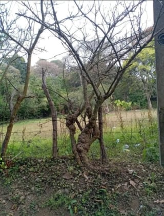 TERRENO  en Venta  (2)  - El Manzanillo, Mixco zona 1 — Terreno en Venta en Zona 1 Mixco, Guatemala, Ciudad — miniatura 5 de 9