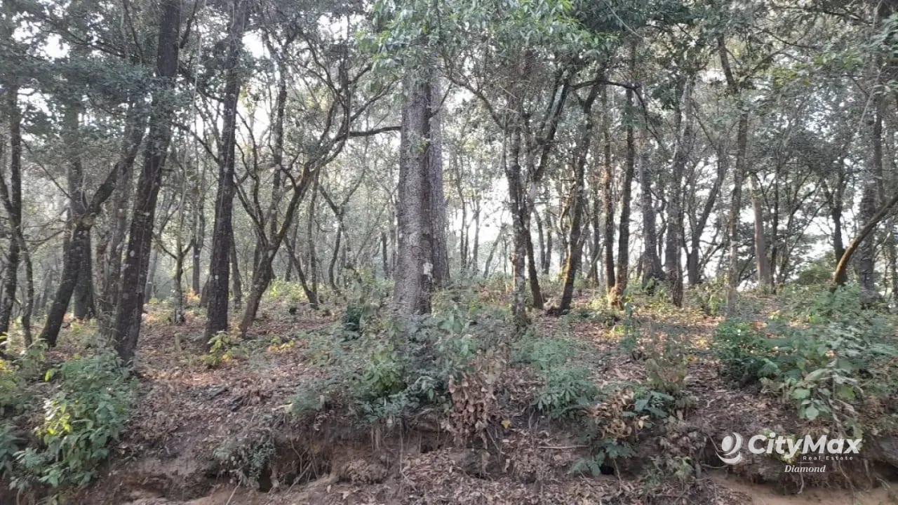 Terreno en Venta en El Encinal Zona 7 Mixco — Terreno en Venta en Zona 7 Mixco, Guatemala, Ciudad — foto 5 de 13