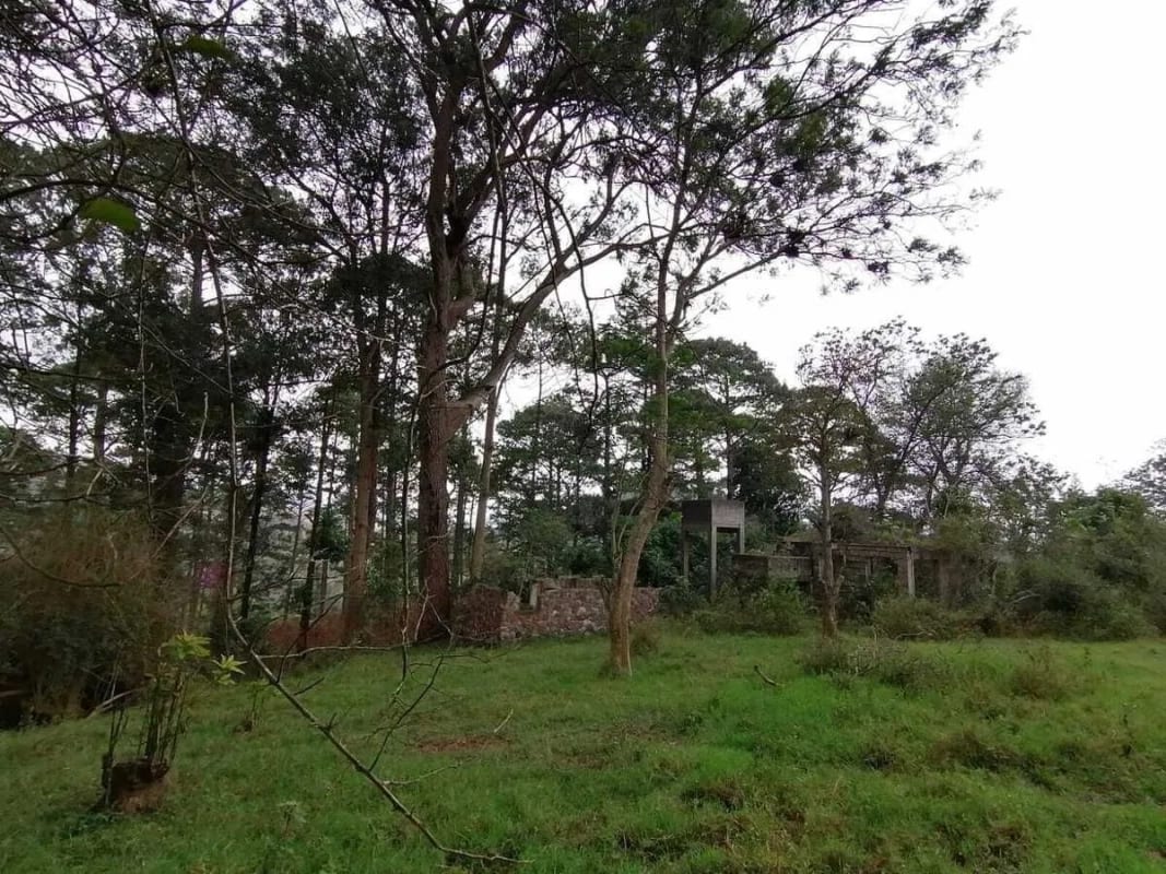 Venta de terreno Km 30 a Palencia — Terreno en Venta en palencia, Guatemala, Ciudad — foto 1 de 10