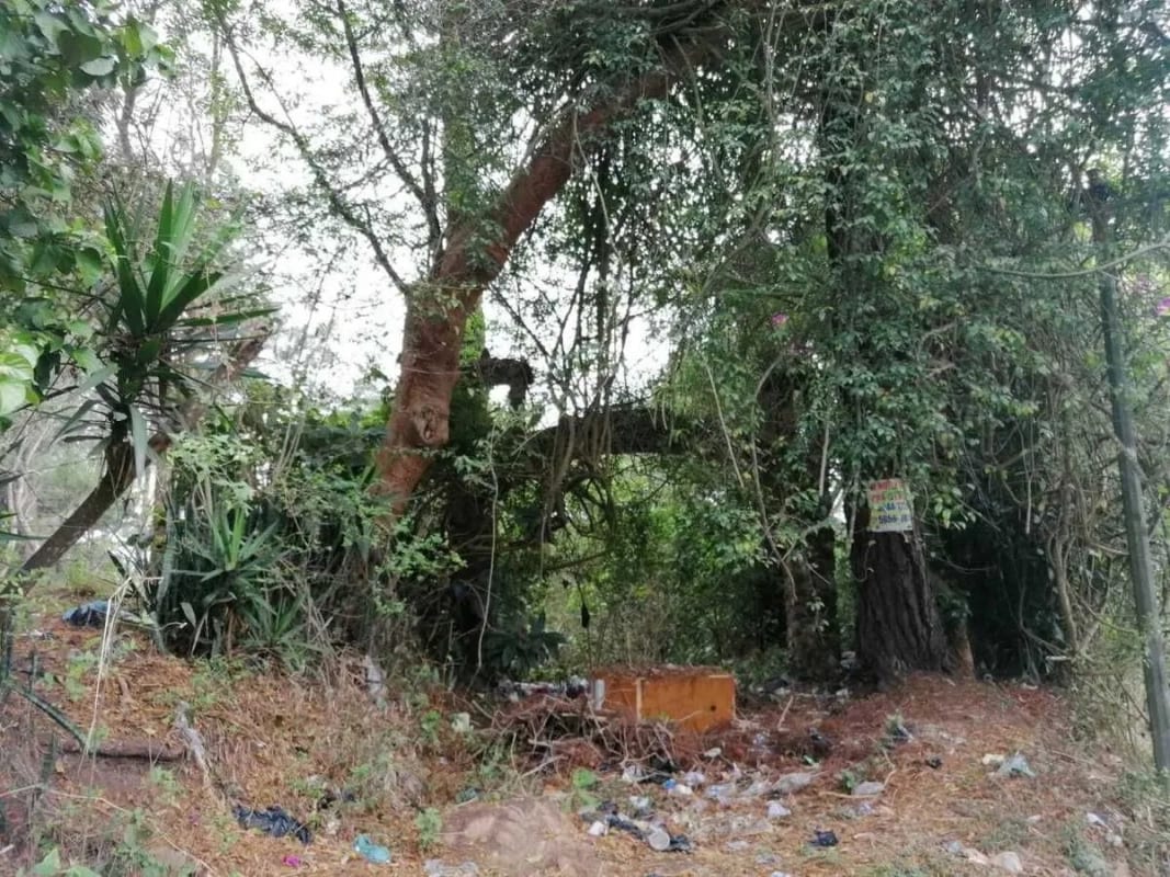Venta de terreno Km 30 a Palencia — Terreno en Venta en palencia, Guatemala, Ciudad — foto 10 de 10