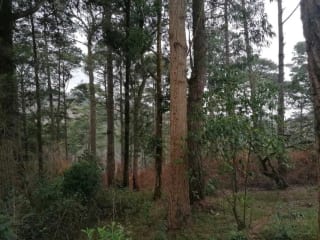 Venta de terreno Km 30 a Palencia — Terreno en Venta en palencia, Guatemala, Ciudad — miniatura 9 de 10