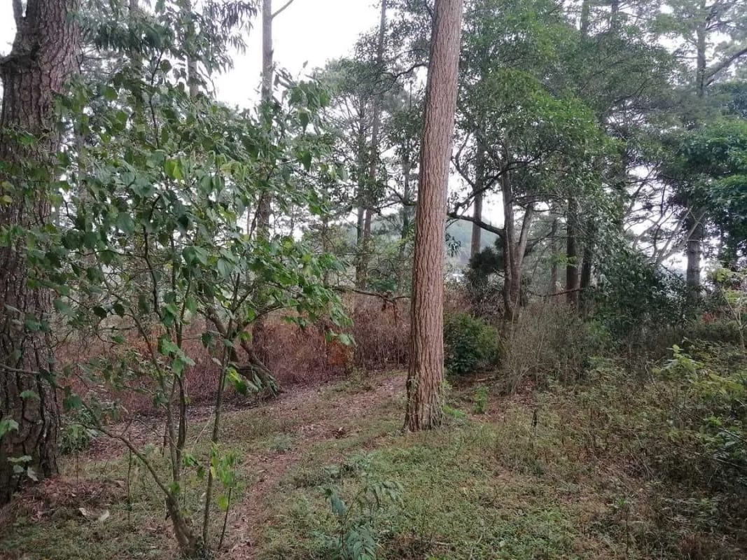 Venta de terreno Km 30 a Palencia — Terreno en Venta en palencia, Guatemala, Ciudad — foto 8 de 10