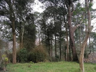 Venta de terreno Km 30 a Palencia — Terreno en Venta en palencia, Guatemala, Ciudad — miniatura 5 de 10