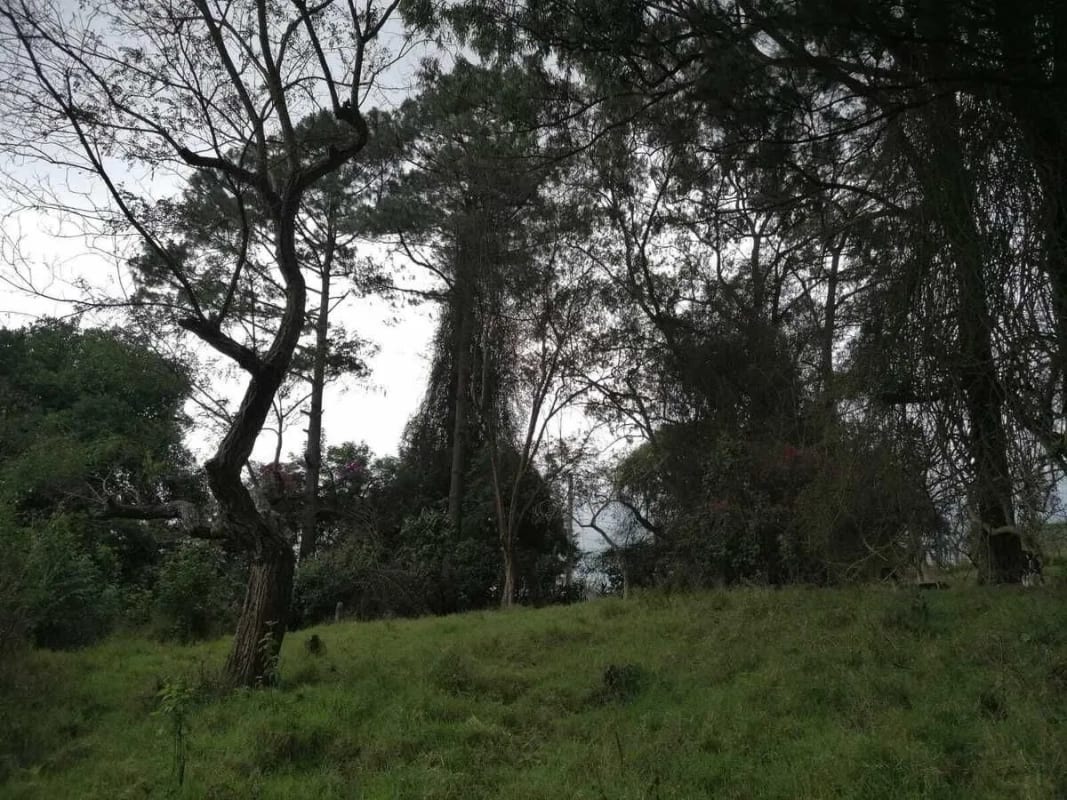 Venta de terreno Km 30 a Palencia — Terreno en Venta en palencia, Guatemala, Ciudad — foto 4 de 10