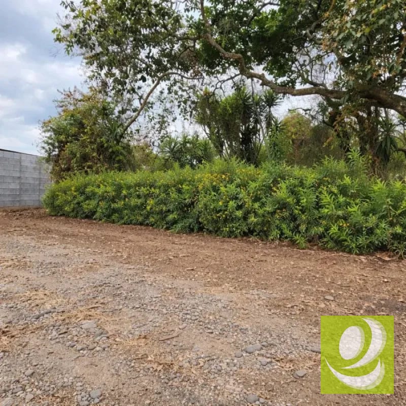 Vendo Terreno dentro de Mayan Golf Villa Nueva — Terreno en Venta en Villa Nueva, Guatemala, Ciudad — foto 11 de 11