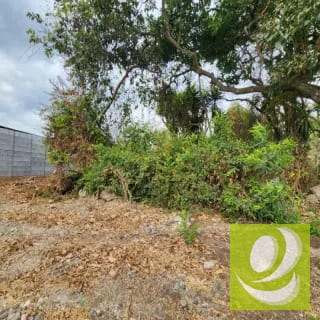 Vendo Terreno dentro de Mayan Golf Villa Nueva — Terreno en Venta en Villa Nueva, Guatemala, Ciudad — miniatura 9 de 11