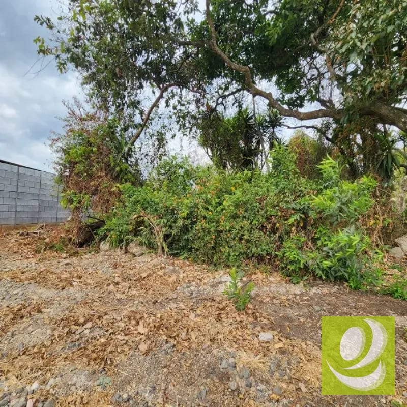 Vendo Terreno dentro de Mayan Golf Villa Nueva — Terreno en Venta en Villa Nueva, Guatemala, Ciudad — foto 9 de 11