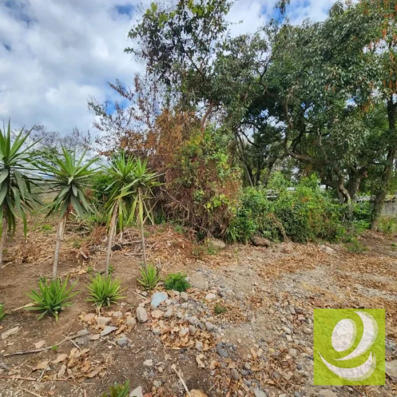 Vendo Terreno dentro de Mayan Golf Villa Nueva — Terreno en Venta en Villa Nueva, Guatemala, Ciudad — foto 4 de 11