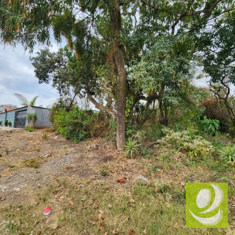 Vendo Terreno dentro de Mayan Golf Villa Nueva — Terreno en Venta en Villa Nueva, Guatemala, Ciudad — foto 2 de 11