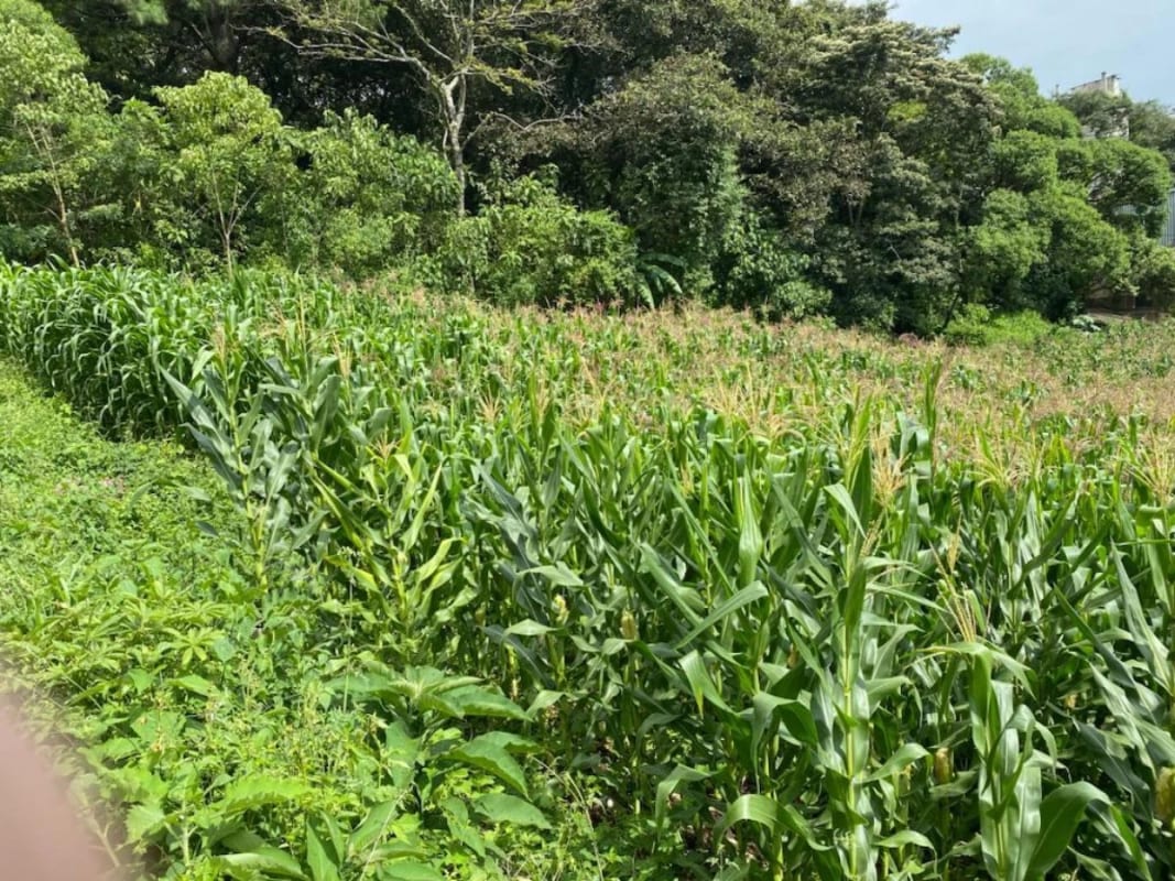 Vendo Terrenos, Planos en Santa Catarina Pinula zona 10 Guatemala. — Terreno en Venta en Villas Granada Premier 2, Santa Catarina Pinula, Guatemala, Ciudad — foto 5 de 9