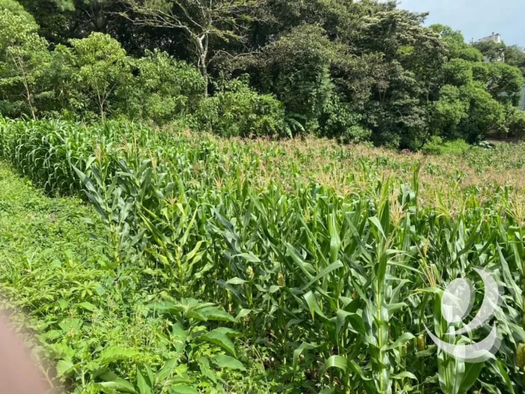 Vendo Terrenos, Planos en Santa Catarina Pinula zona 10 Guatemala. — Terreno en Venta en Villas Granada Premier 2, Santa Catarina Pinula, Guatemala, Ciudad — foto 5 de 9
