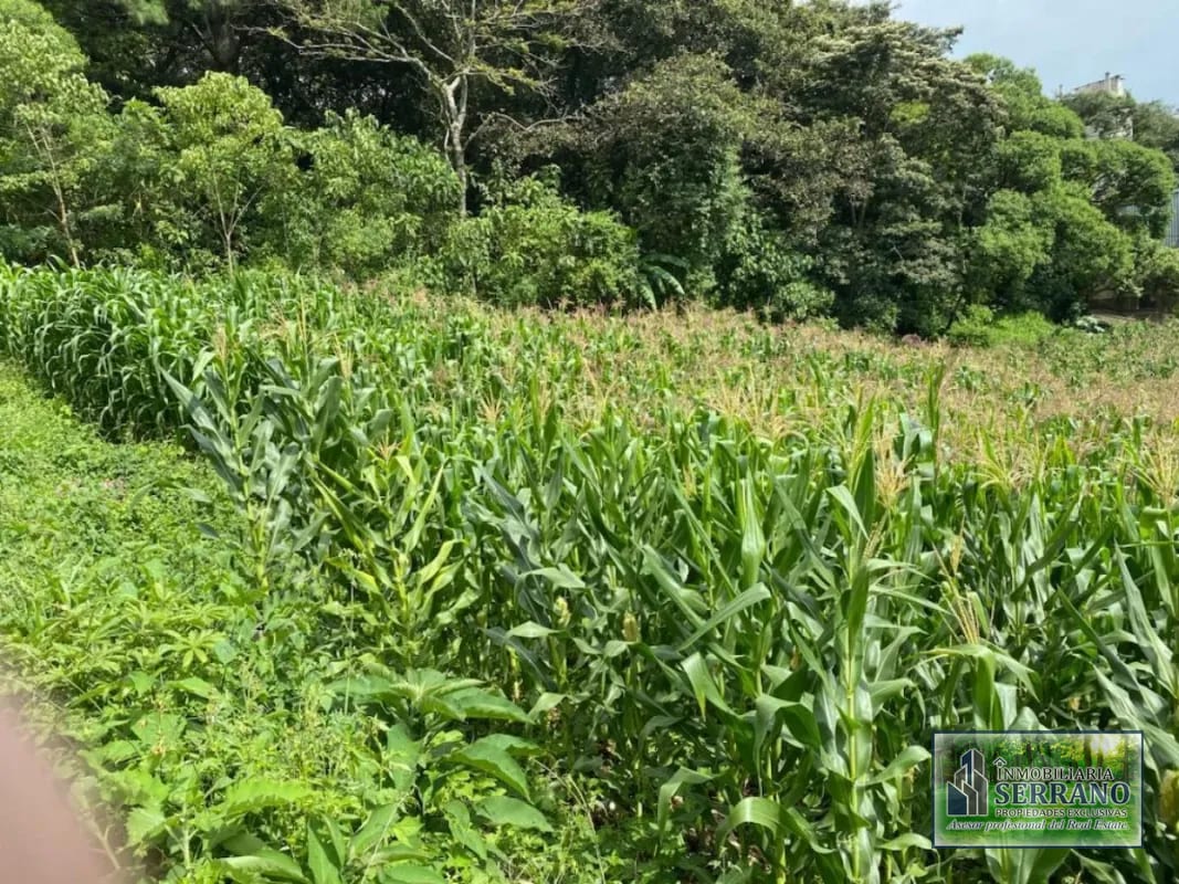 Vendo Terrenos, Planos en Santa Catarina Pinula zona 10 Guatemala. — Terreno en Venta en Villas Granada Premier 2, Santa Catarina Pinula, Guatemala, Ciudad — foto 5 de 9