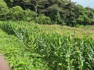 Vendo Terrenos, Planos en Santa Catarina Pinula zona 10 Guatemala. — Terreno en Venta en Villas Granada Premier 2, Santa Catarina Pinula, Guatemala, Ciudad — miniatura 5 de 9