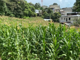 Vendo Terrenos, Planos en Santa Catarina Pinula zona 10 Guatemala. — Terreno en Venta en Villas Granada Premier 2, Santa Catarina Pinula, Guatemala, Ciudad — miniatura 4 de 9