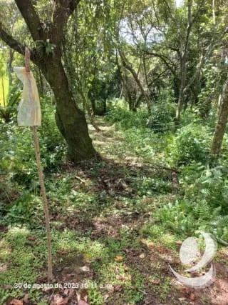 Venta de Terrenos en residencial, Casa y Campo. Carretera a el salvador km23.5 — Terreno en Venta en Campo Verde, Carretera a El Salvador, Guatemala, Ciudad — miniatura 7 de 8