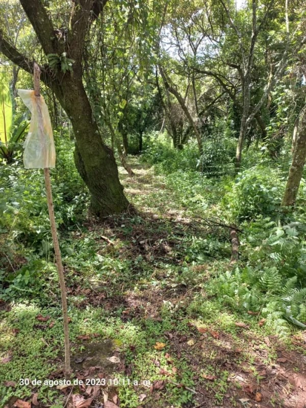Venta de Terrenos en residencial, Casa y Campo. Carretera a el salvador km23.5 — Terreno en Venta en Campo Verde, Carretera a El Salvador, Guatemala, Ciudad — foto 7 de 8
