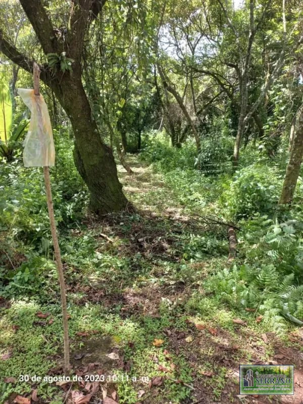 Venta de Terrenos en residencial, Casa y Campo. Carretera a el salvador km23.5 — Terreno en Venta en Campo Verde, Carretera a El Salvador, Guatemala, Ciudad — foto 7 de 8
