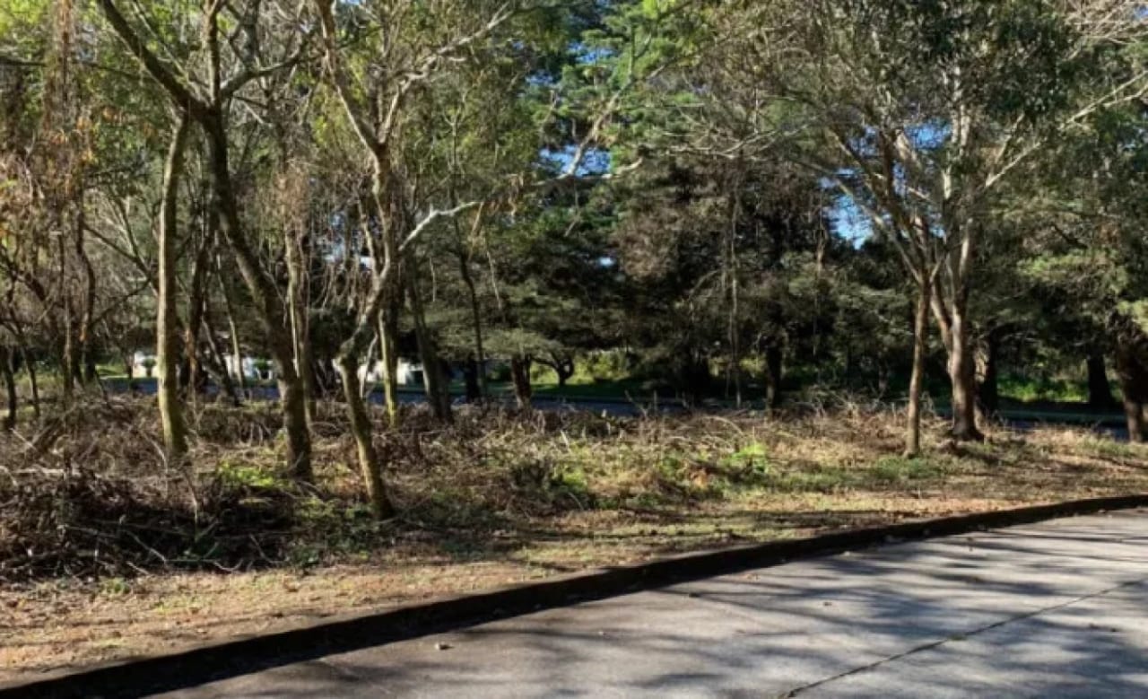 Venta de Terrenos en residencial, Casa y Campo. Carretera a el salvador km23.5 — Terreno en Venta en Campo Verde, Carretera a El Salvador, Guatemala, Ciudad — foto 6 de 8