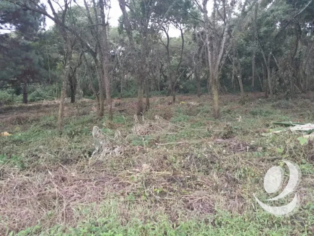Venta de Terrenos en residencial, Casa y Campo. Carretera a el salvador km23.5 — Terreno en Venta en Campo Verde, Carretera a El Salvador, Guatemala, Ciudad — foto 5 de 8