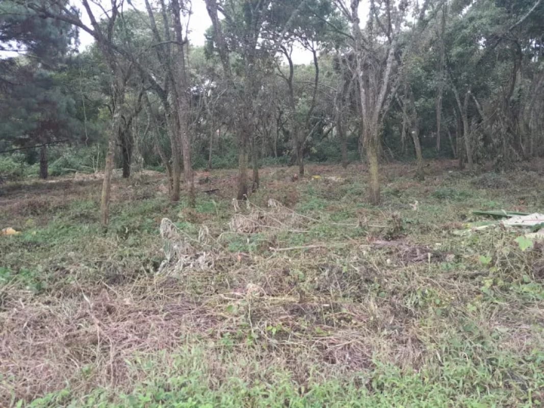 Venta de Terrenos en residencial, Casa y Campo. Carretera a el salvador km23.5 — Terreno en Venta en Campo Verde, Carretera a El Salvador, Guatemala, Ciudad — foto 5 de 8