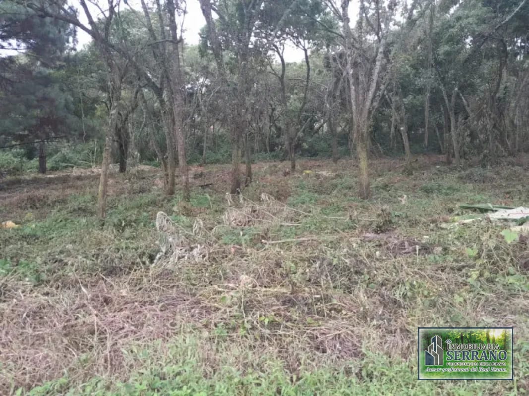 Venta de Terrenos en residencial, Casa y Campo. Carretera a el salvador km23.5 — Terreno en Venta en Campo Verde, Carretera a El Salvador, Guatemala, Ciudad — foto 5 de 8