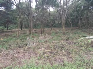 Venta de Terrenos en residencial, Casa y Campo. Carretera a el salvador km23.5 — Terreno en Venta en Campo Verde, Carretera a El Salvador, Guatemala, Ciudad — miniatura 5 de 8