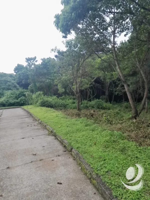 Venta de Terrenos en residencial, Casa y Campo. Carretera a el salvador km23.5 — Terreno en Venta en Campo Verde, Carretera a El Salvador, Guatemala, Ciudad — foto 4 de 8