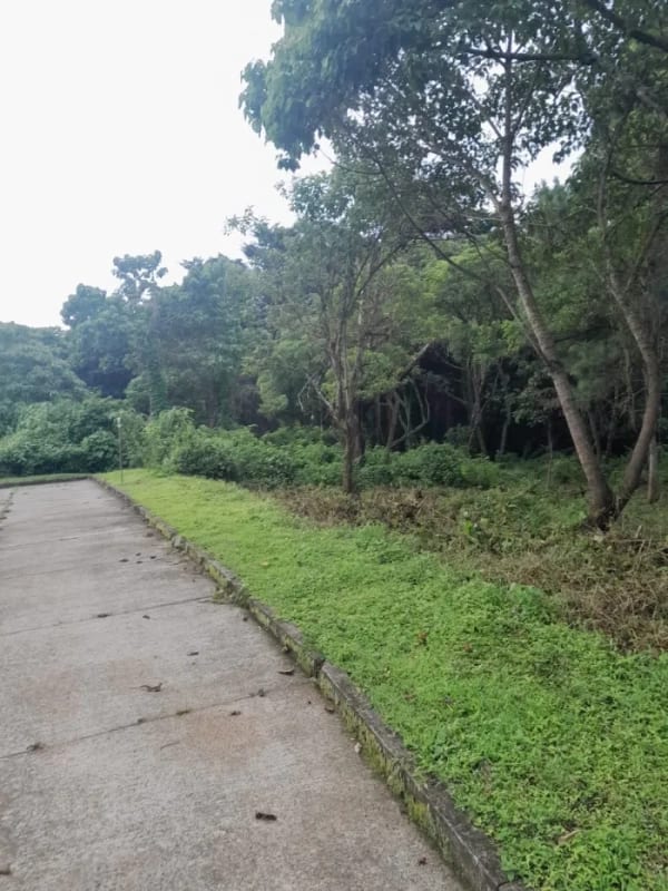 Venta de Terrenos en residencial, Casa y Campo. Carretera a el salvador km23.5 — Terreno en Venta en Campo Verde, Carretera a El Salvador, Guatemala, Ciudad — foto 4 de 8