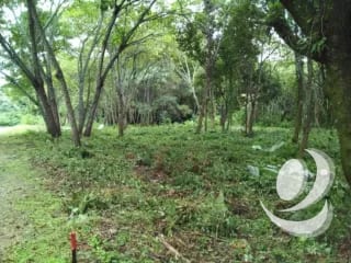 Venta de Terrenos en residencial, Casa y Campo. Carretera a el salvador km23.5 — Terreno en Venta en Campo Verde, Carretera a El Salvador, Guatemala, Ciudad — miniatura 3 de 8
