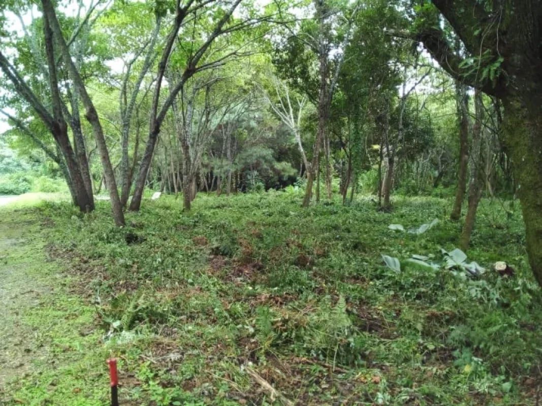 Venta de Terrenos en residencial, Casa y Campo. Carretera a el salvador km23.5 — Terreno en Venta en Campo Verde, Carretera a El Salvador, Guatemala, Ciudad — foto 3 de 8