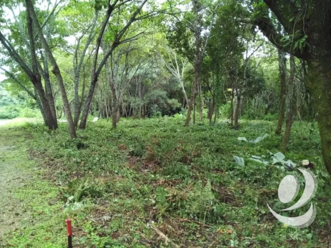 Venta de Terrenos en residencial, Casa y Campo. Carretera a el salvador km23.5 — Terreno en Venta en Campo Verde, Carretera a El Salvador, Guatemala, Ciudad — foto 3 de 8