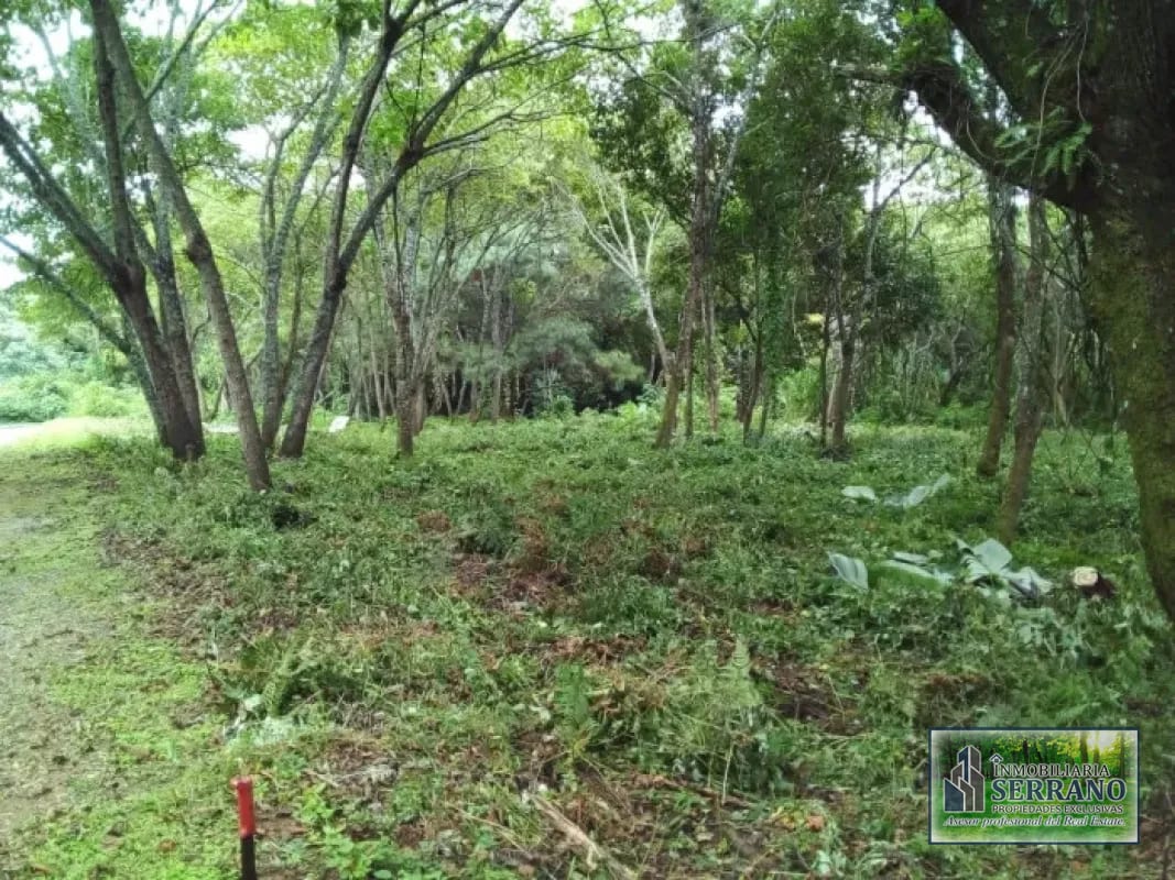 Venta de Terrenos en residencial, Casa y Campo. Carretera a el salvador km23.5 — Terreno en Venta en Campo Verde, Carretera a El Salvador, Guatemala, Ciudad — foto 3 de 8