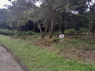 Venta de Terrenos en residencial, Casa y Campo. Carretera a el salvador km23.5 — Terreno en Venta en Campo Verde, Carretera a El Salvador, Guatemala, Ciudad — miniatura 2 de 8