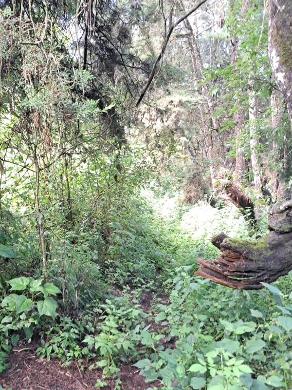 Vendo Interesante Terreno de Esquina Ubicado en Don Justo para Proyecto o para Residencia — Terreno en Venta en Carretera a El Salvador, Guatemala, Ciudad — foto 8 de 10