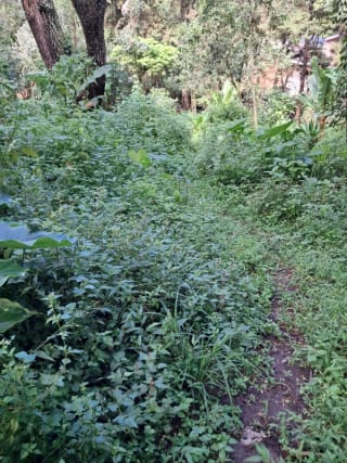 Vendo Interesante Terreno de Esquina Ubicado en Don Justo para Proyecto o para Residencia — Terreno en Venta en Carretera a El Salvador, Guatemala, Ciudad — miniatura 6 de 10