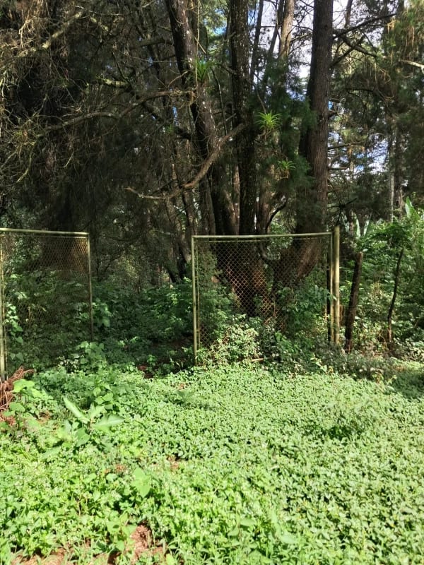 Vendo Interesante Terreno de Esquina Ubicado en Don Justo para Proyecto o para Residencia — Terreno en Venta en Carretera a El Salvador, Guatemala, Ciudad — foto 4 de 10